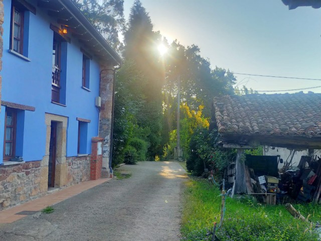 VLLVCS001