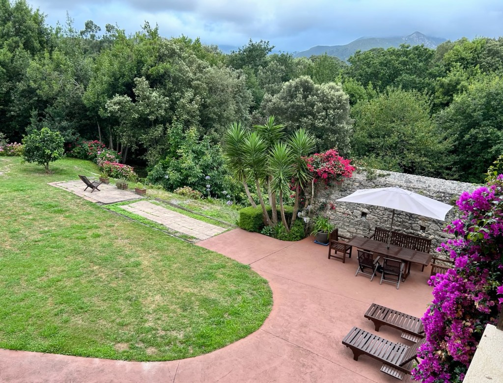 OVIO001R OVIO001R