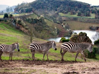Razones por las que visitar Suances, la villa marinera de Cantabria Razones por las que visitar Suances, la villa marinera de Cantabria