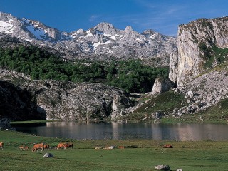 Casas rurales en Villa: una idea fantástica para enamorarte de Asturias Casas rurales en Villa: una idea fantástica para enamorarte de Asturias