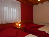 STEL002R