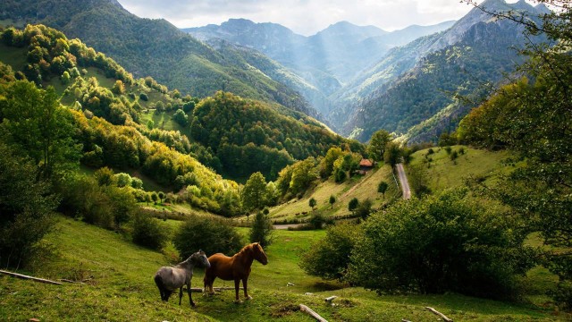 Casas rurales en Villa: una idea fantástica para enamorarte de Asturias