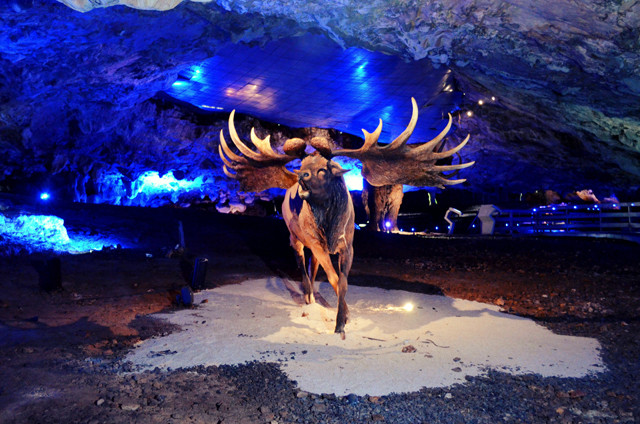 La Cueva de Avín, o cómo hacer un repaso a la fauna glaciar de hace más de 40.000 años