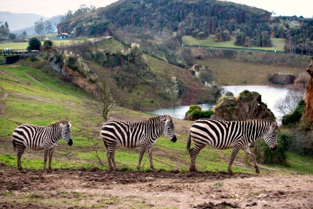 Razones por las que visitar Suances, la villa marinera de Cantabria