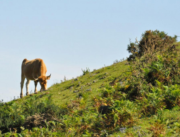 Monte Naranco, un paraíso en Oviedo para los amantes del senderismo y la naturaleza