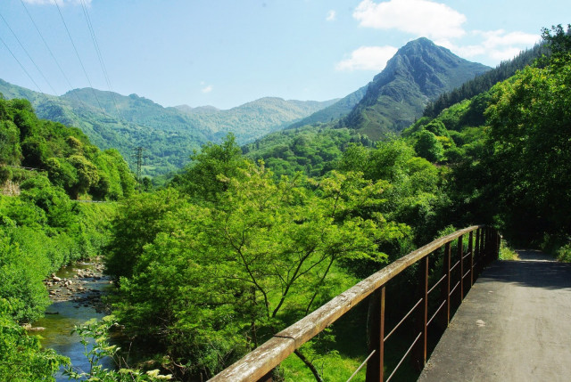 La Senda del Oso, una de las rutas de senderismo más emblemáticas de Asturias